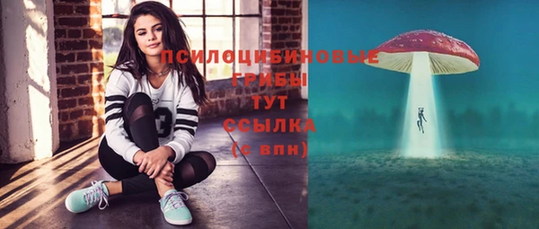 мяу мяу кристалл Инта